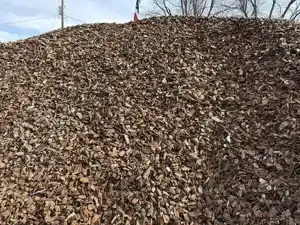Large Grind Bark